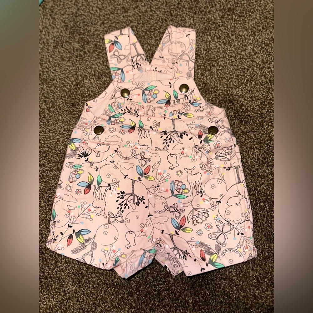 Carhartt sprint print overalls